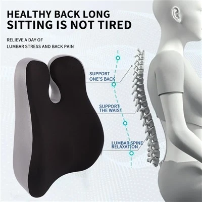 Orthopedic Lumbar Support Pilo